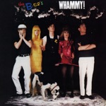 The B-52's - Song for a Future Generation