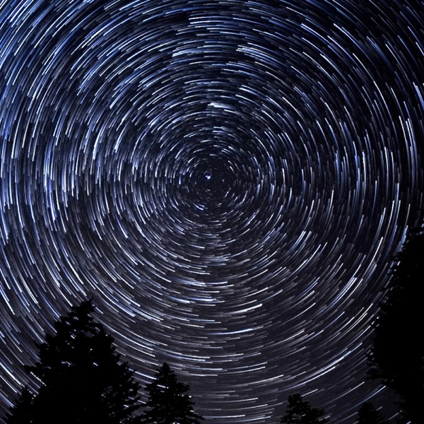 ポケット - Single