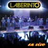 Laberinto: En Vivo, 2010