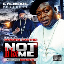 Not Like Me (feat. Genius) Sondro Castro