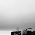 SINGULAR