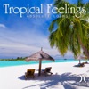 Tropical Feelings - Absolute Lounge