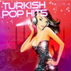 Turkish Pop Hits, Vol. 2 - Various Artists