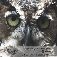 Shiver - Alessio Gnizio & Alex Jotvoski