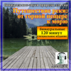Звуки природы для сна - Леса и дальнего грома (Bonus Track) - Amadeus new Single