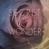 Secret Wonder