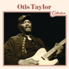 Ten Million Slaves (feat. Cassie Taylor) - Otis Taylor