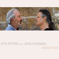 Design Flaw (feat. John Kurzweg) - kito peters