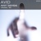 Any Sense - Avid lyrics