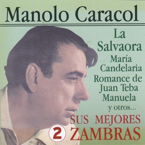 Sus Mejores Zambras Vol. 2