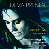 Password (Deluxe Edition) artwork