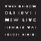 Old Love / New Love (feat. D'Angelo Lacy) [Armand Van Helden Remix] artwork