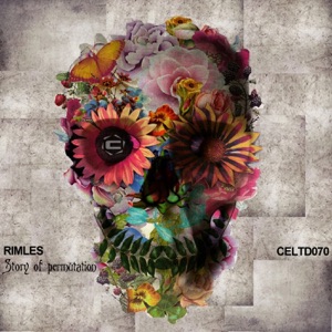Story of Permutation - Single