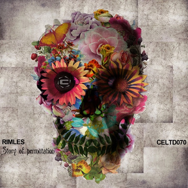 Story of Permutation - Single
