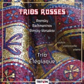 Trio en ut mineur: I. Allegro artwork