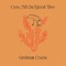 Big Bird - Graham Coxon lyrics
