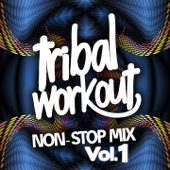 Tribal Workout Non-Stop Mix Vol. 1 (60 Minute Non-Stop Workout Mix 132 BPM) artwork