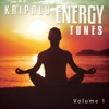 Kripalu Energy Tunes, Vol. 1 (Balanced Chill out and Meditation Moods)