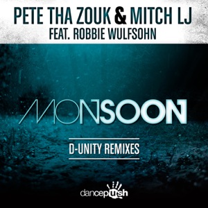 Monsoon (D-Unity Remixes) [feat. Robbie Wulfsohn] - Single