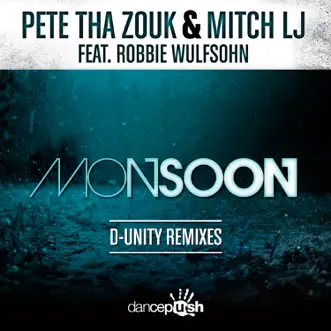 Monsoon (D-Unity Remixes) [feat. Robbie Wulfsohn] - Single by Pete tha Zouk & Mitch LJ album reviews, ratings, credits