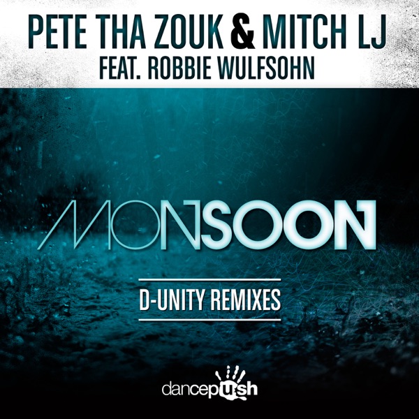 Monsoon (D-Unity Remixes) [feat. Robbie Wulfsohn] - Single