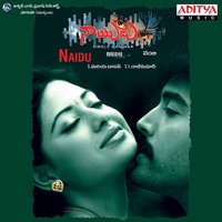 Naidu L. L. B (Original Motion Picture Soundtrack) - EP - S. A. Raj Kumar