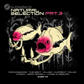 Natural Selection, Pt. 3 by Allied, Machinecode, Current Value, Kitech, The Sect, Dean Rodell, Absurd & C.A.2K album reviews, ratings, credits
