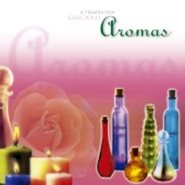 A Terapia dos Aromas artwork