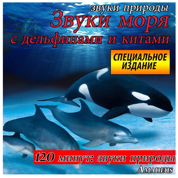 Звуки моря с дельфинами и китами - Звуки природы - Специальное