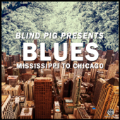 Blind Pig Presents: Mississippi to Chicago Blues - Verschillende artiesten