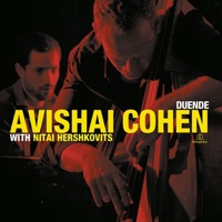 Duende (with Nitai Hershkovits) - Avishai Cohen