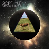 Gov't Mule - One of These Days