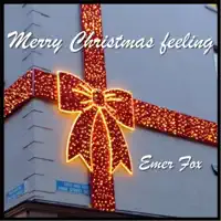 Merry Christmas Feeling — Emer Fox