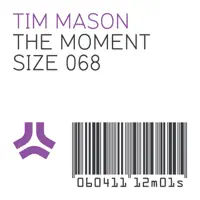 The Moment (Steve Angello Edit) — Tim Mason
