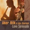 I Just Called To Say I Love You - Acker Bilk lyrics