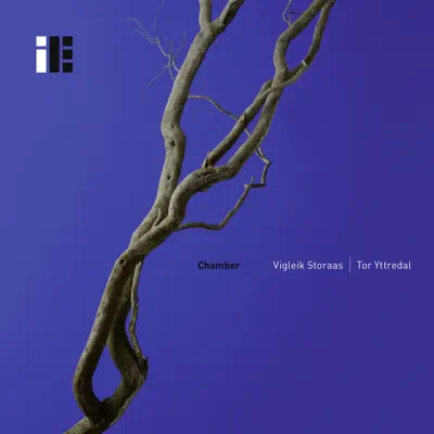 Ascolta 'Chamber' di Tor Yttredal & Vigleik Storaas