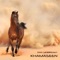 Akshara - Dan Morrissey lyrics