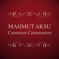 Kızların Havalısı — Mahmut Aksu