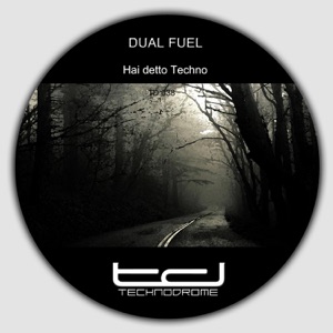Hai detto techno - Single