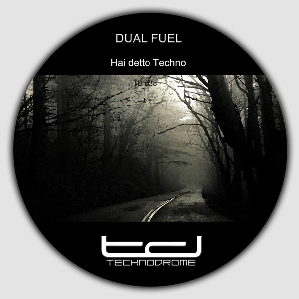 Hai detto techno - Single