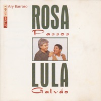 Rosa Passos - Pra Machucar Meu Coração