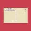Surrender - Single