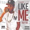 Like Me (feat. Troy Ave) - Young Lito lyrics
