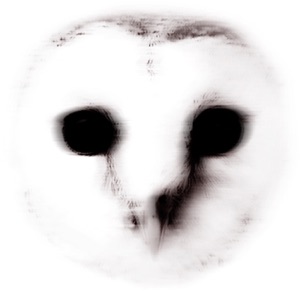The Wisdom of Crowds - Single