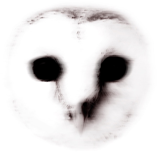 The Wisdom of Crowds - Single