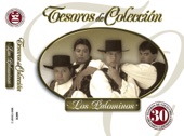 Tesoros de Colección: Los Palominos, 2008