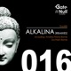 Alkalina The Remixes 1st Round Single