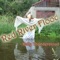 Red River Flood - Kelly Thundercloud lyrics
