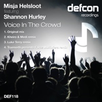 Voice in the Crowd (feat. Shannon Hurley) - Misja Helsloot