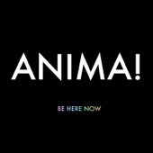 Anima! - No Mind, Never Matter